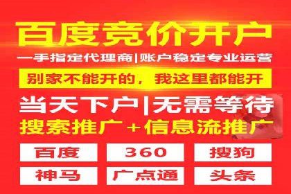 搜索引擎优化（SEO）在百度上的应用案例研究